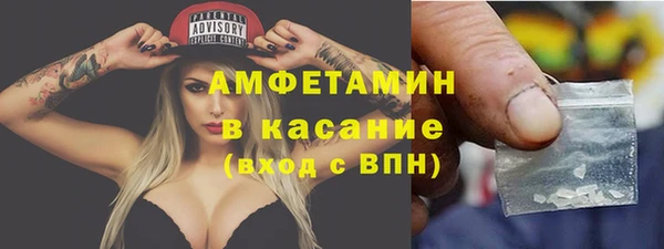 крисы Алексин