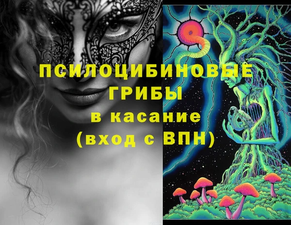 крисы Алексин