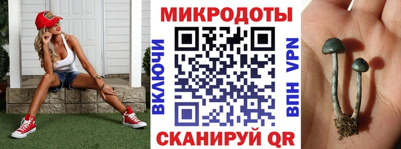 Псилоцибиновые грибы мухоморы  дарнет шоп  Арамиль 